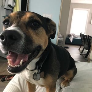 Meet your Posher, Allana